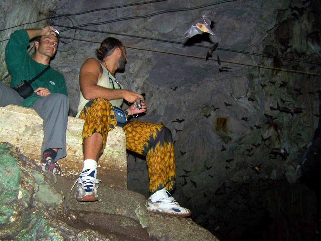 chauve souris grotte lanquin guatemala