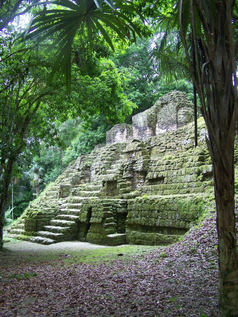 temple jungle Tikal guatemala