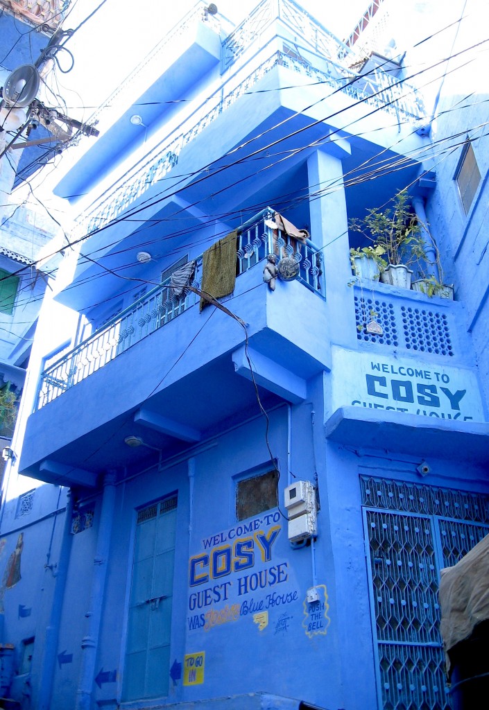 hotel cosy Jodhpur Rajasthan