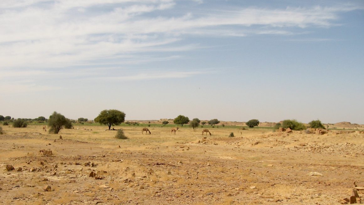 désert du Thar Jaisalmer Rajasthan