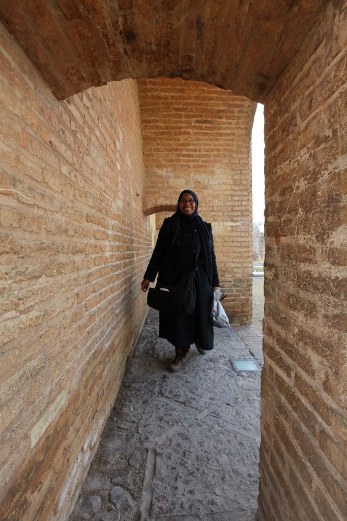 Pont Isfahan visite du pont principal d'Isfahan juste avant le départ pour Persepolis