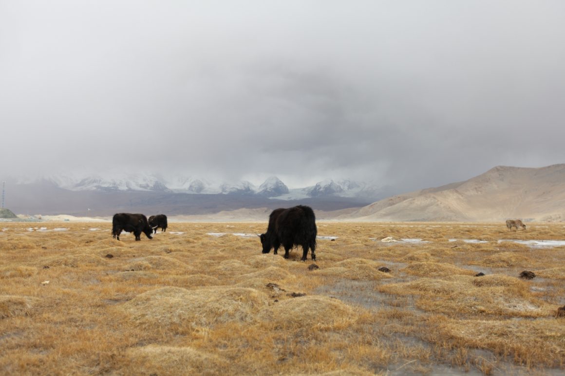 La route du Karakorum