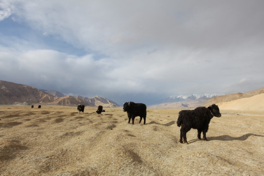 lac Karakul Xinjiang nomades