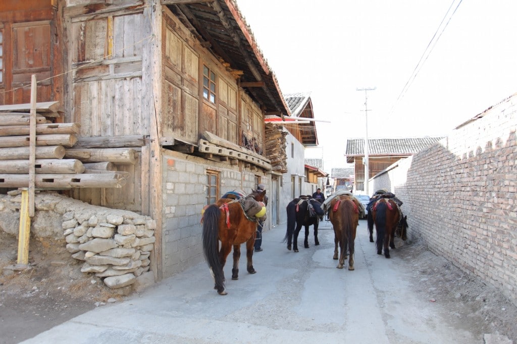 trek cheval sichuan songpan