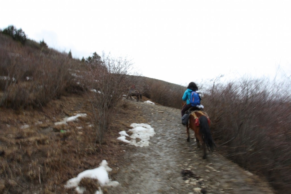 trek cheval hiver songpan