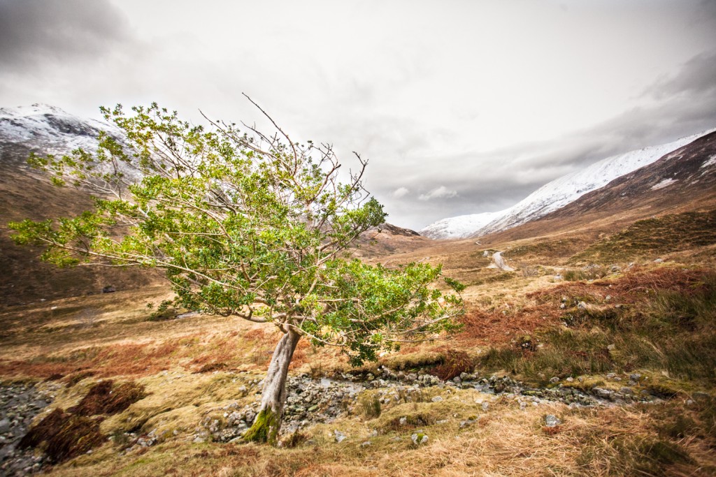 West Highland Way ben nevis