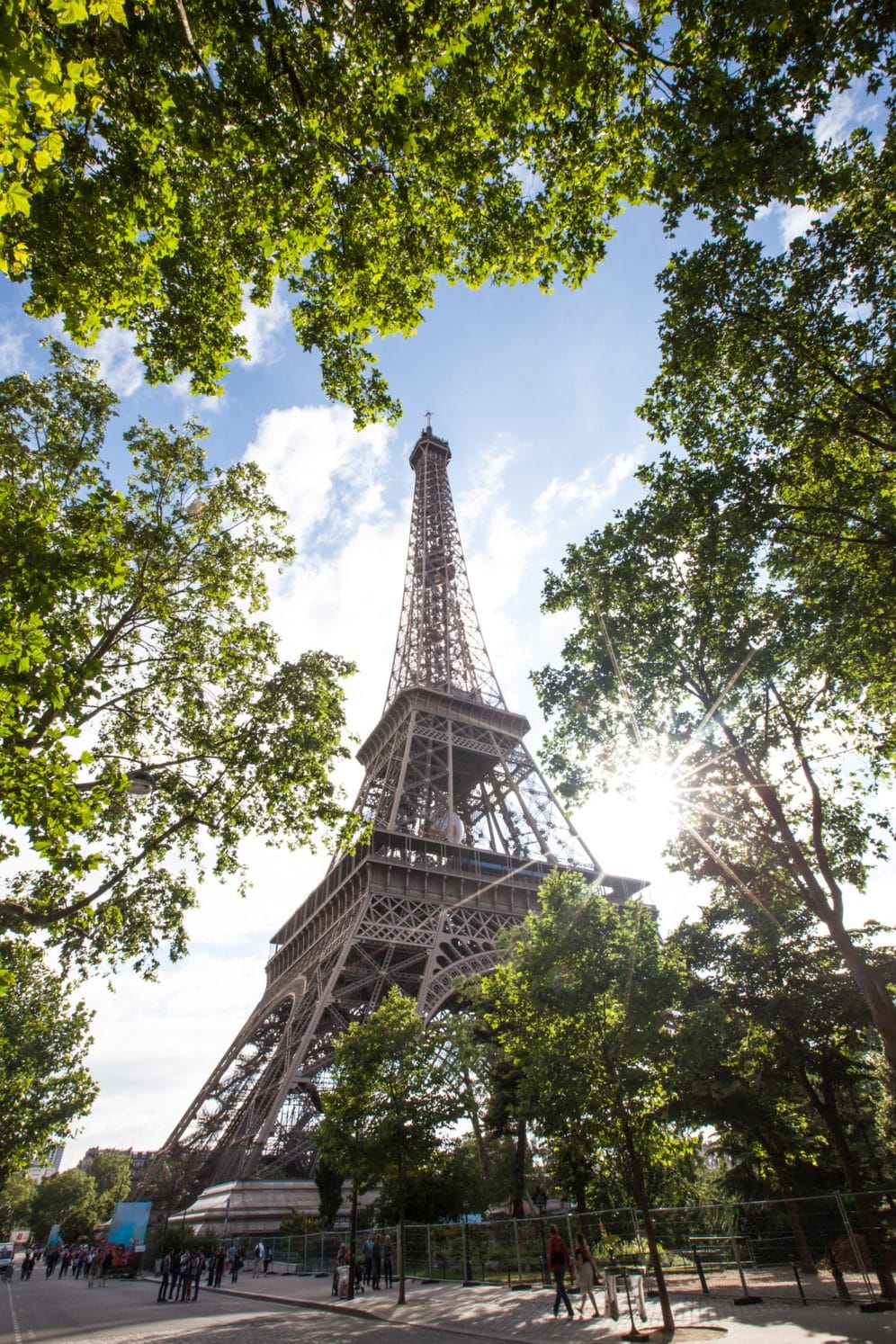 Tour eiffel dans les arbres