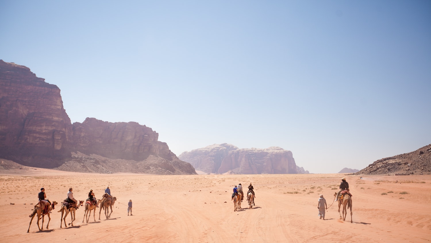 dromadaires wadi rum