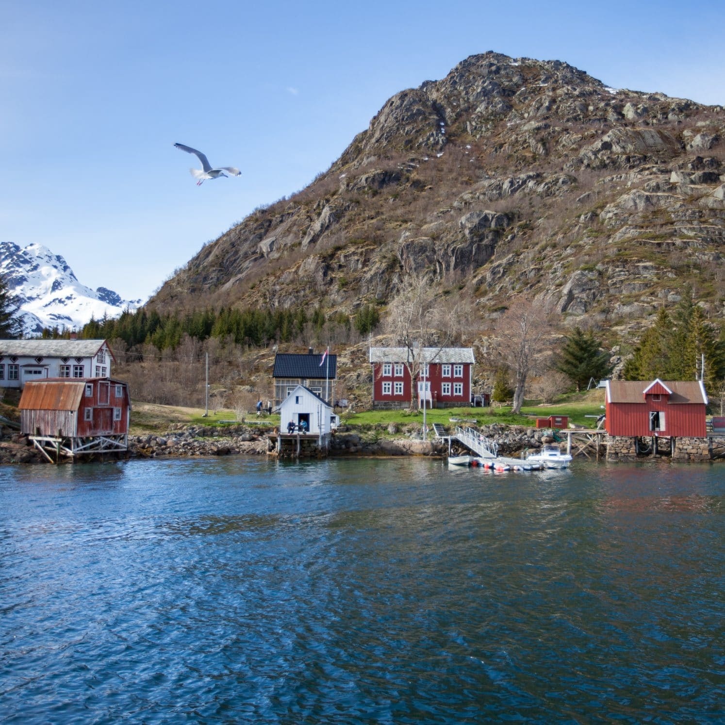 village fjord norvège lofoten
