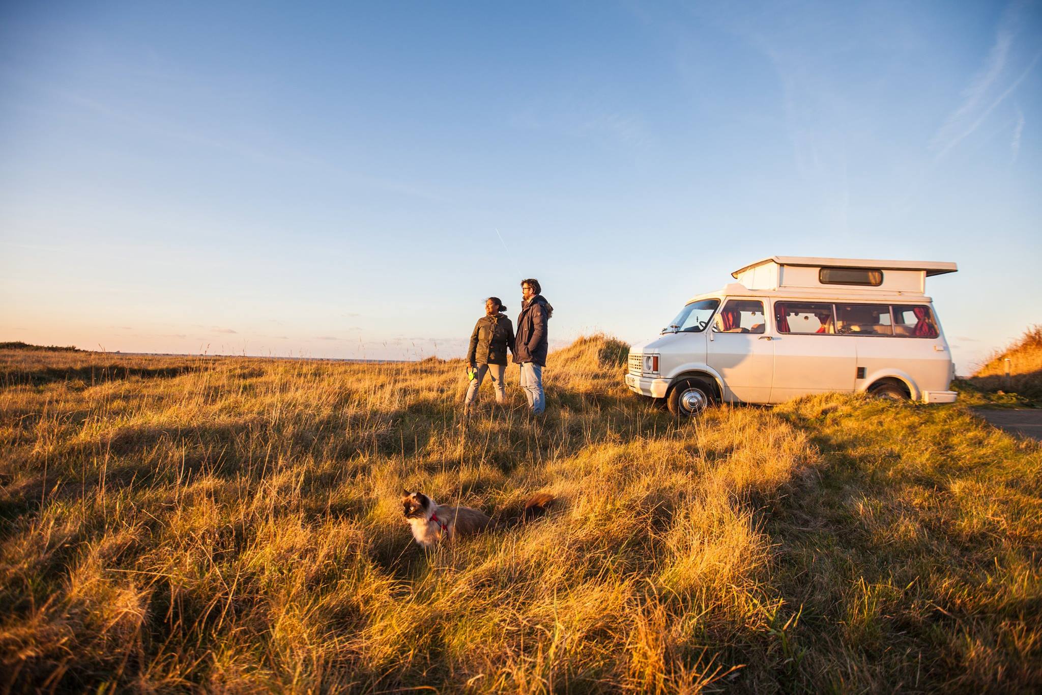 clo et clem bedford van chat clo et clem bedford van chat