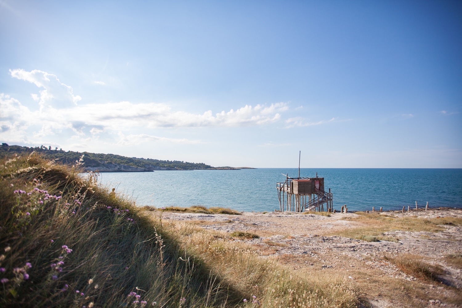 parc national de Gargano
