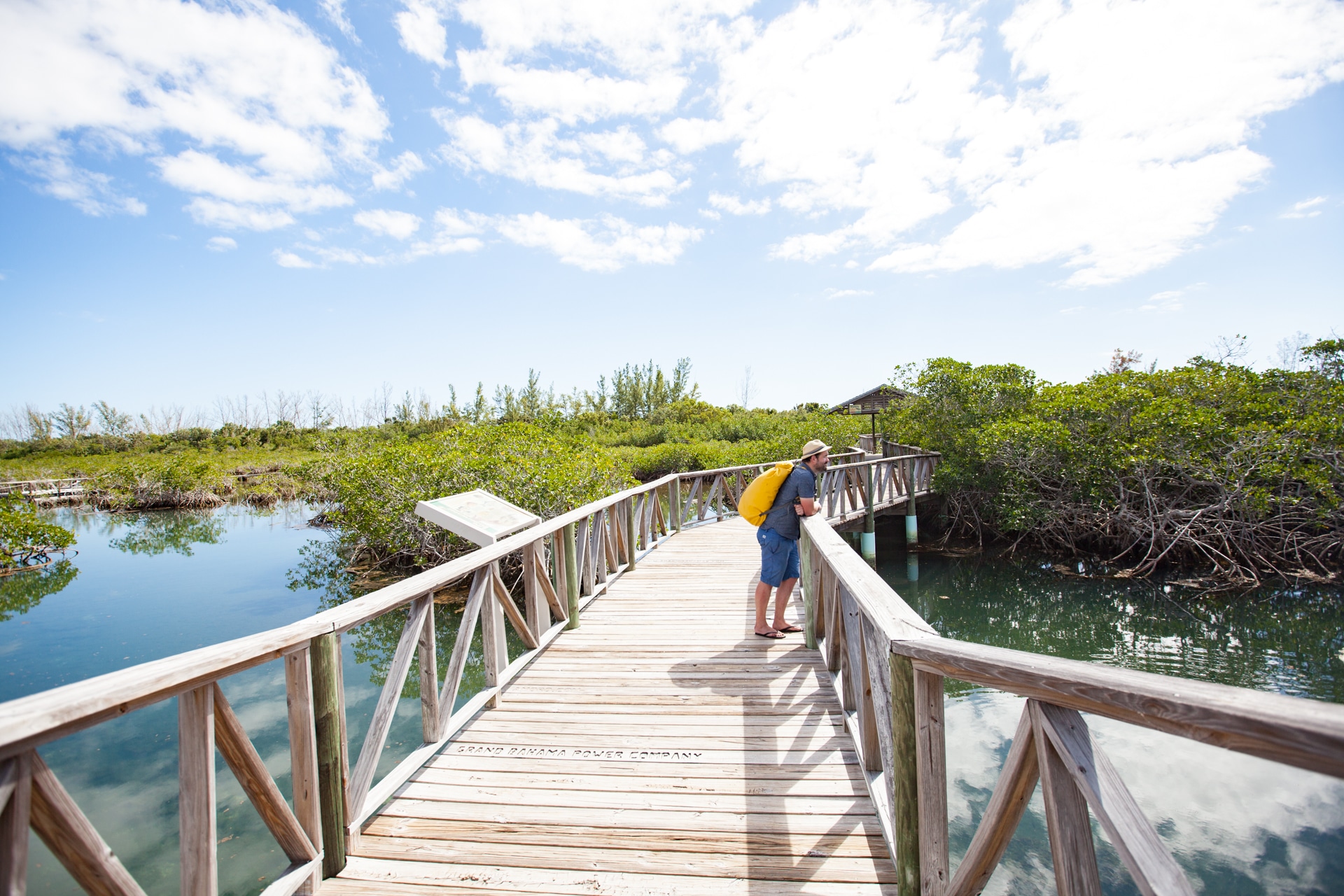 Voyage aux Bahamas Grand Bahama mangrove