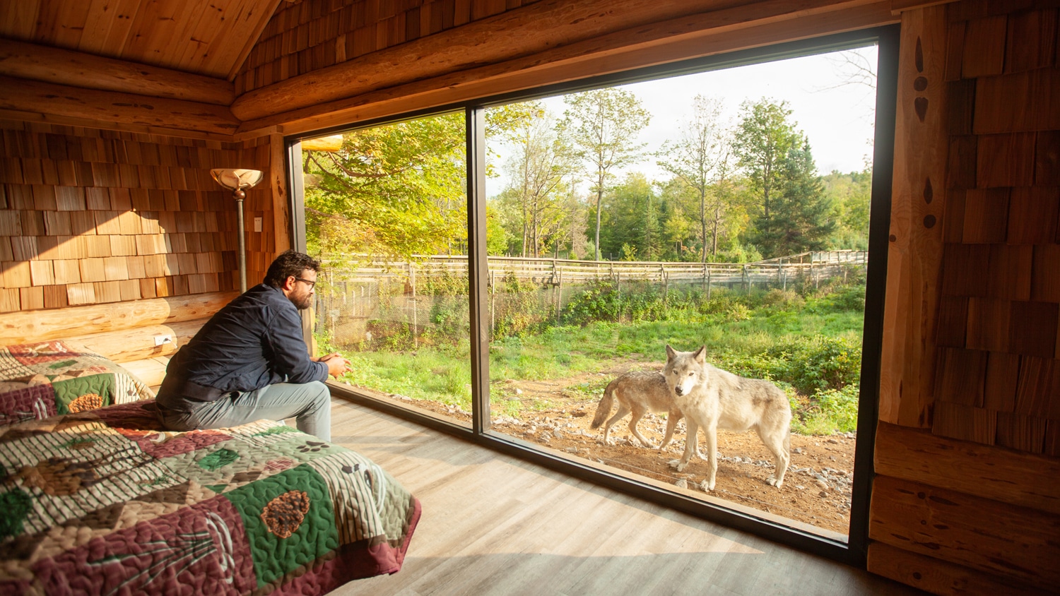 cabane loups parc oméga