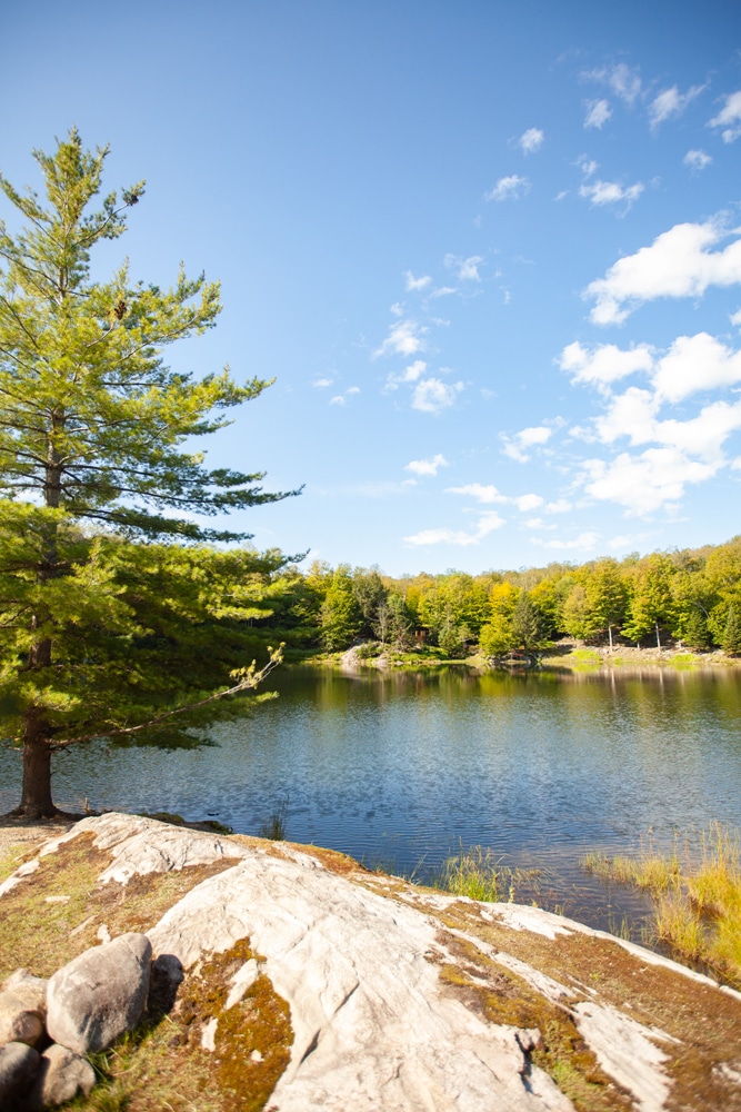 Parc Oméga road trip Québec