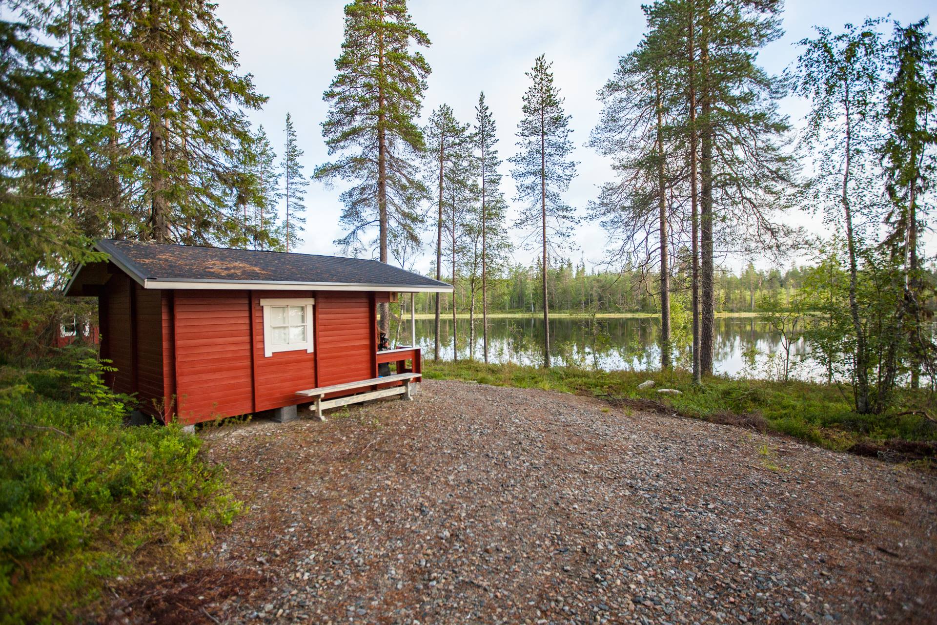 observation des ours Kuhmo