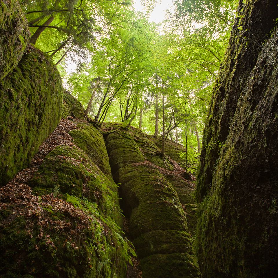 Drachenschlucht Eisenach