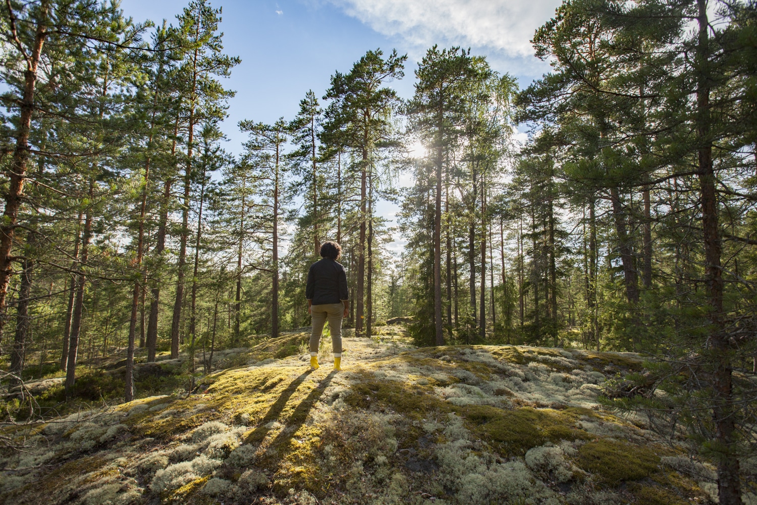 parc national Nuuksio
