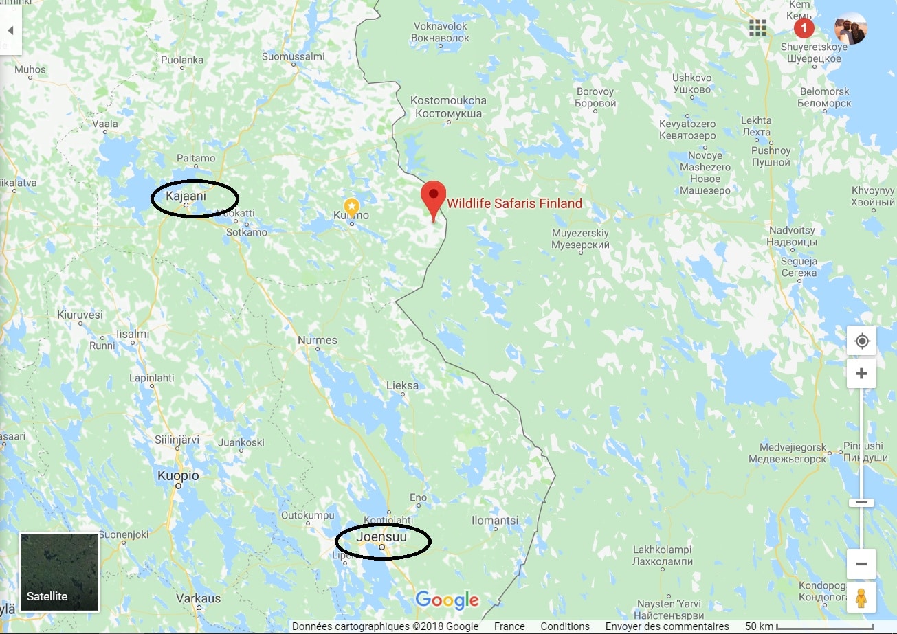 Kuhmo camp de base ours