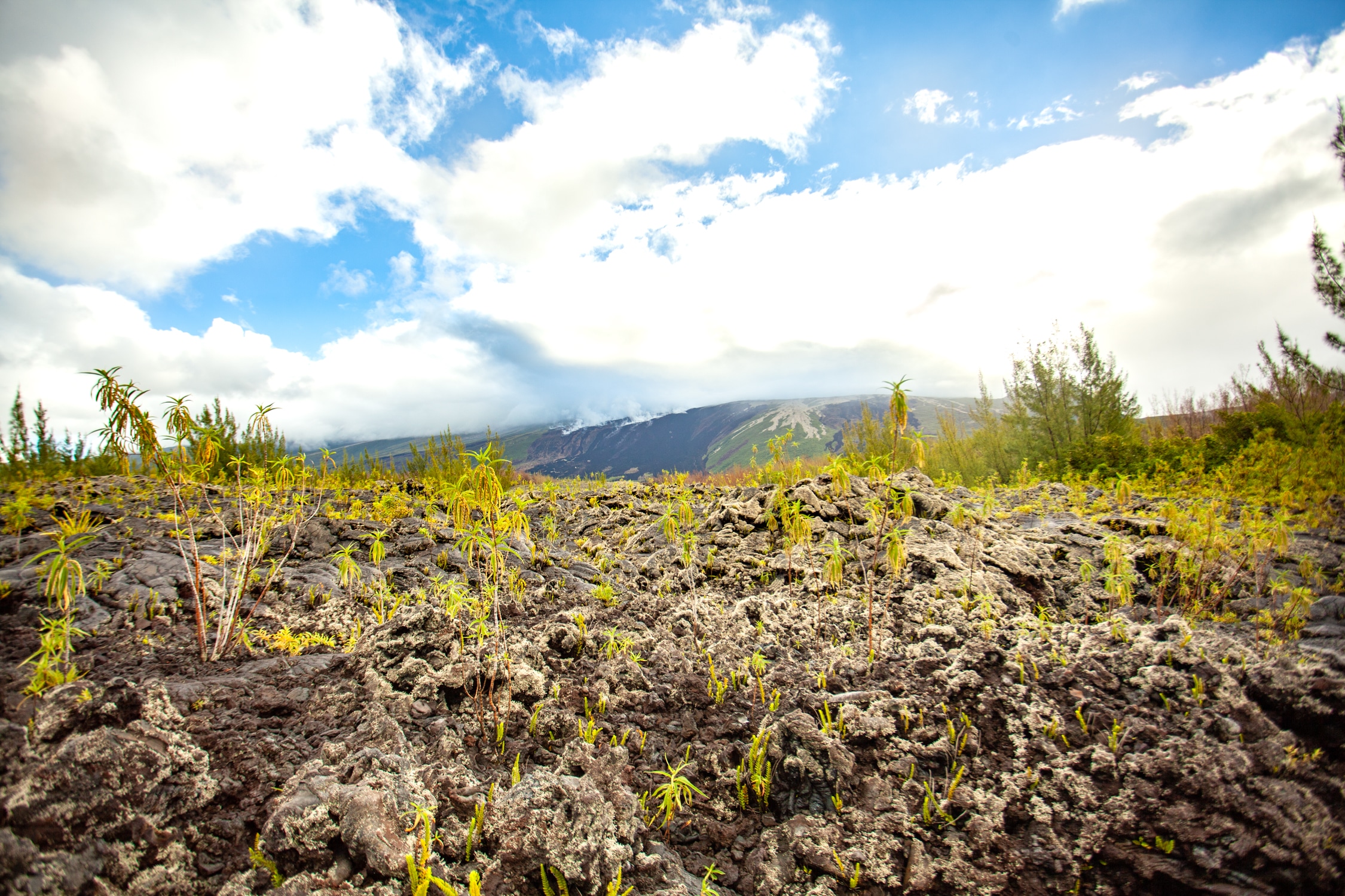 Route des laves Grand brulé