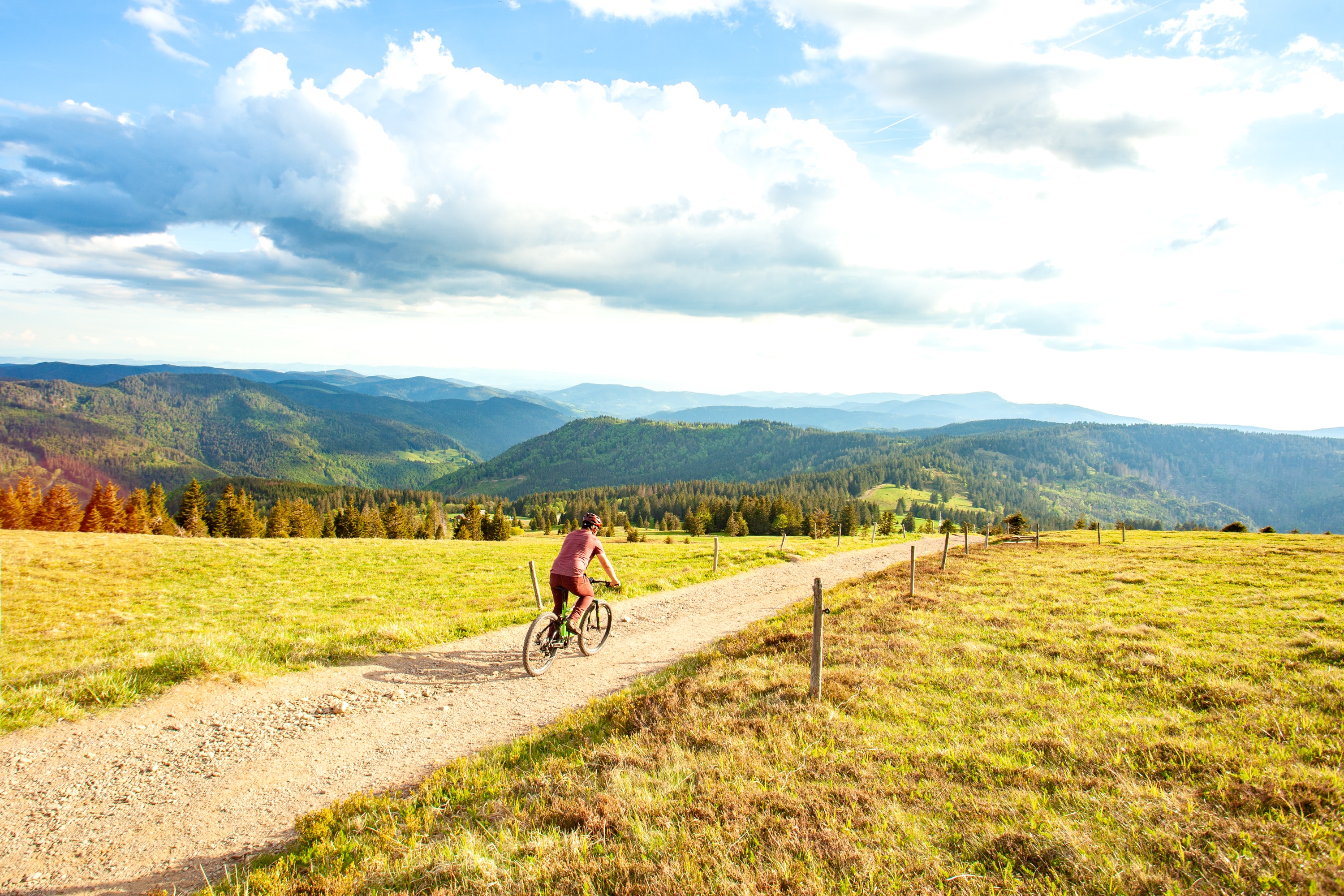 visiter forêt noire