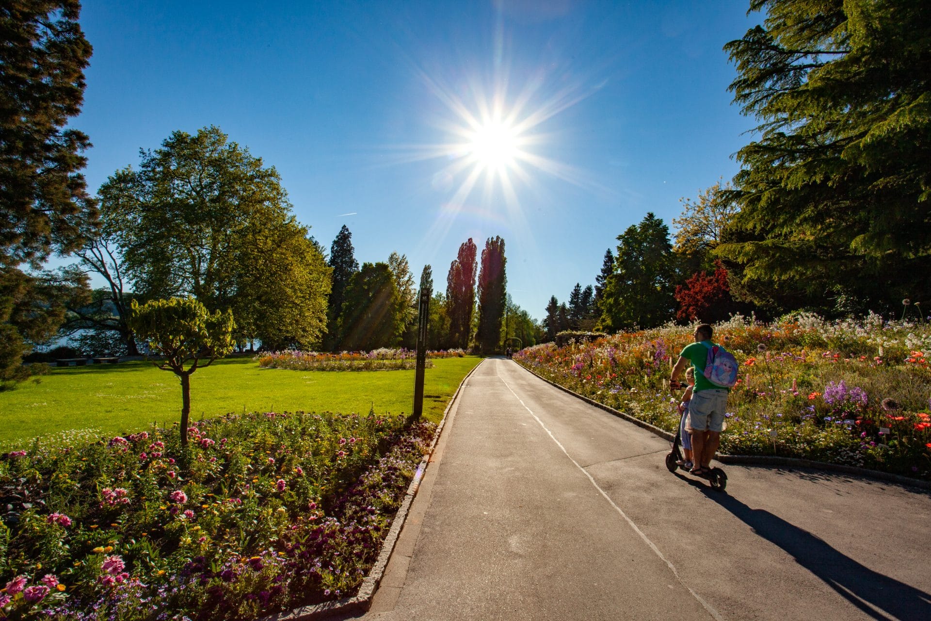 Visiter le lac de Constance : Un voyage éco-responsable autour du lac