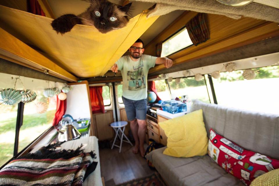 road trip avec un chat