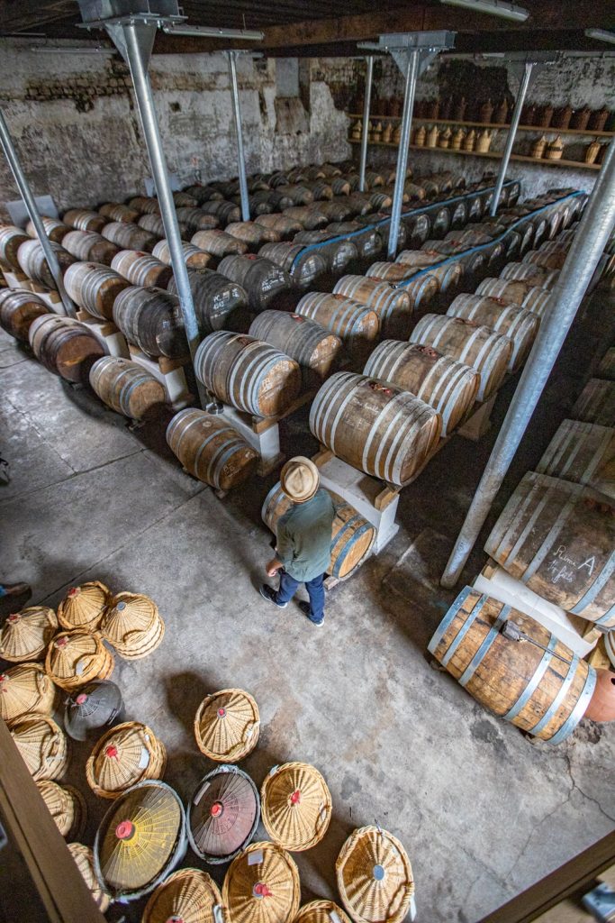 degustation cognac