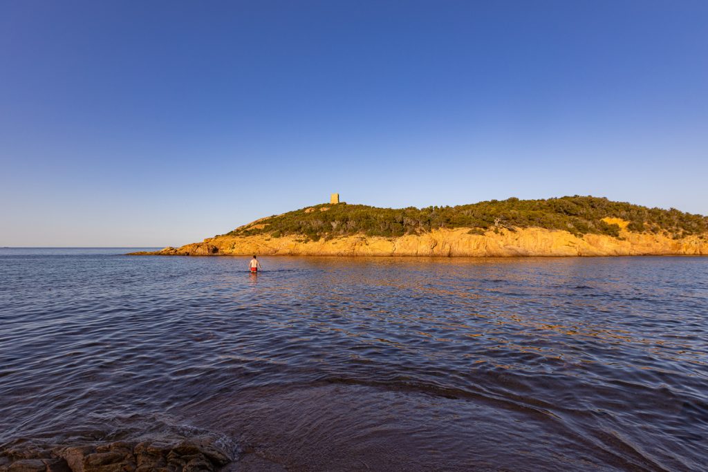 ile pinarello