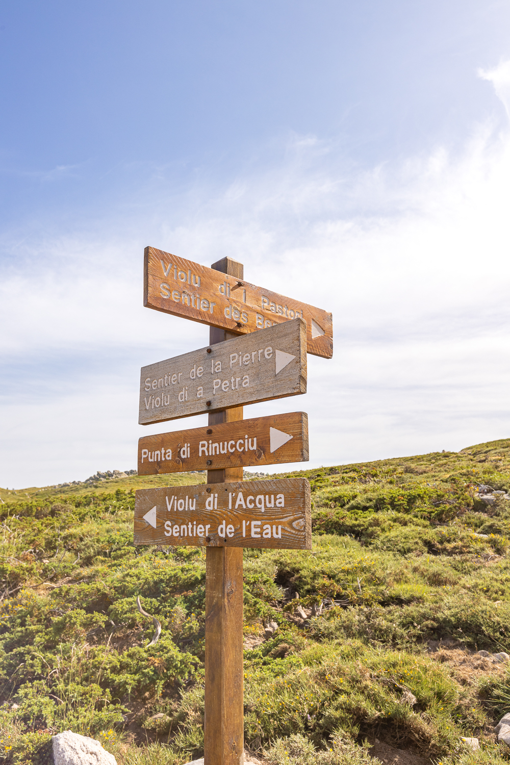 plateau coscione randonnée