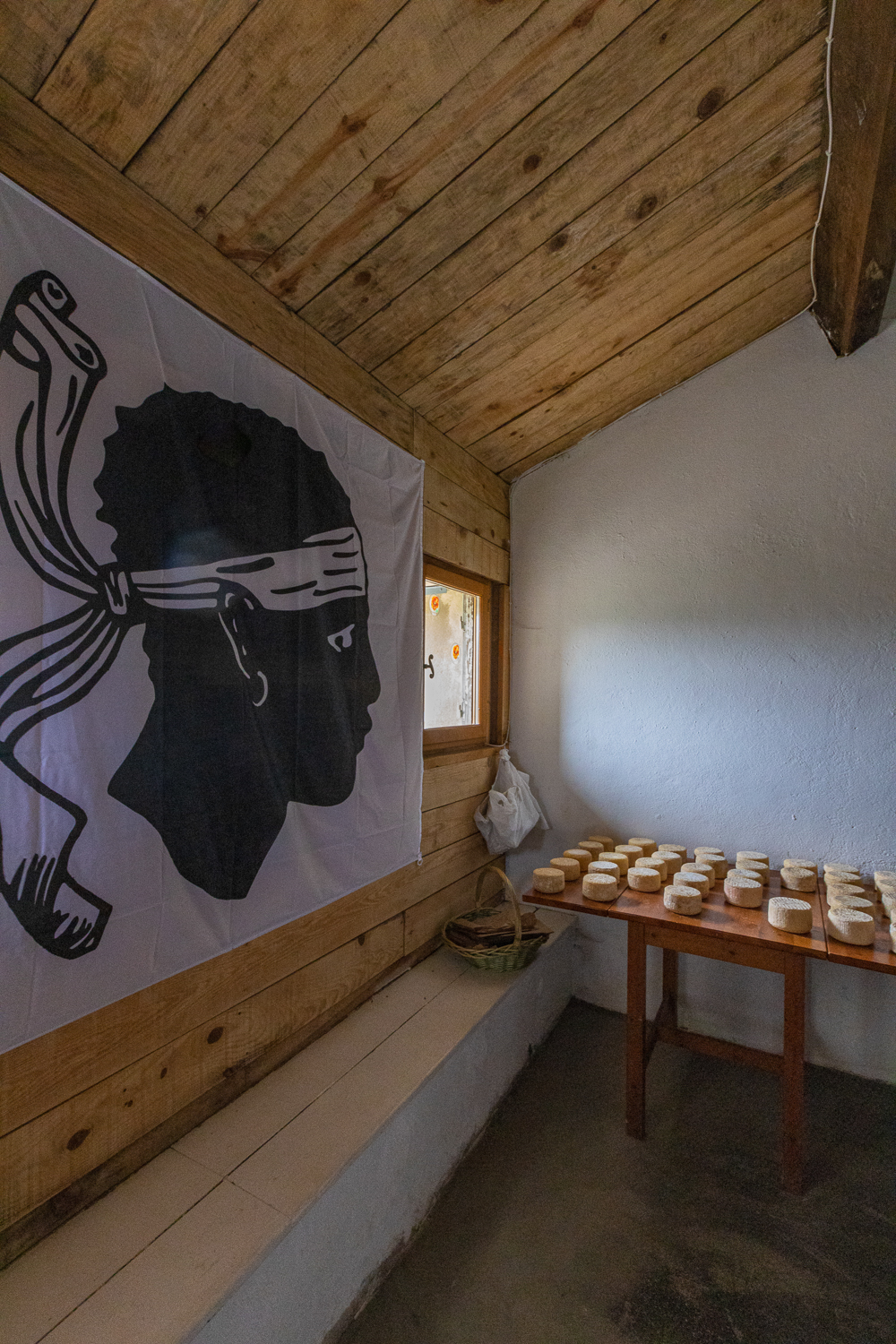 plateau coscione bergers