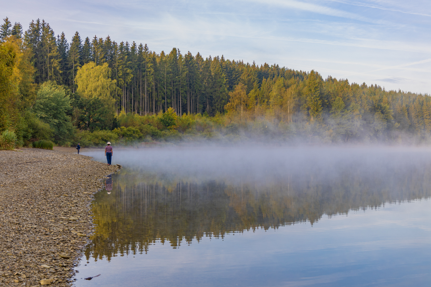 Visiter les Hautes Fagnes : des allures de savane en Wallonie
