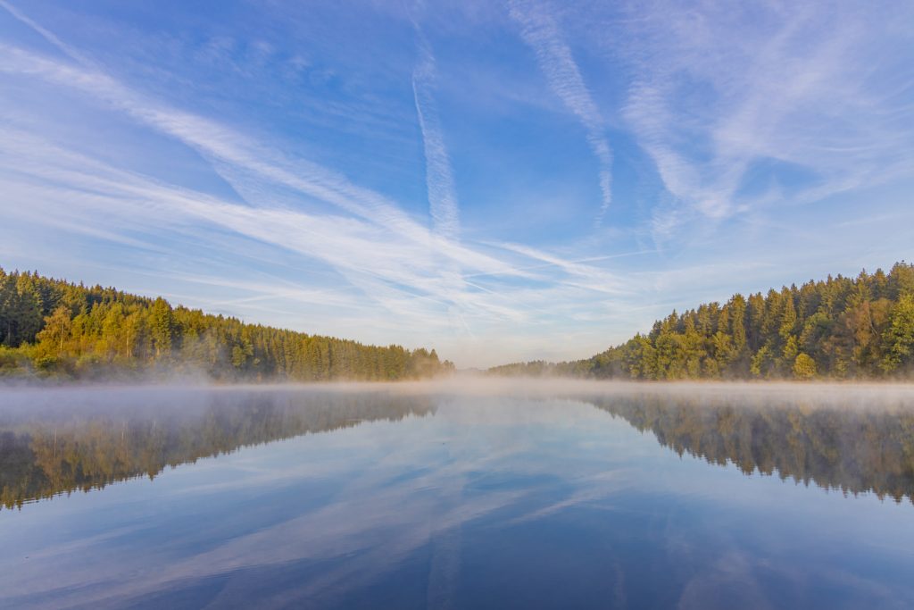 hautes fagnes