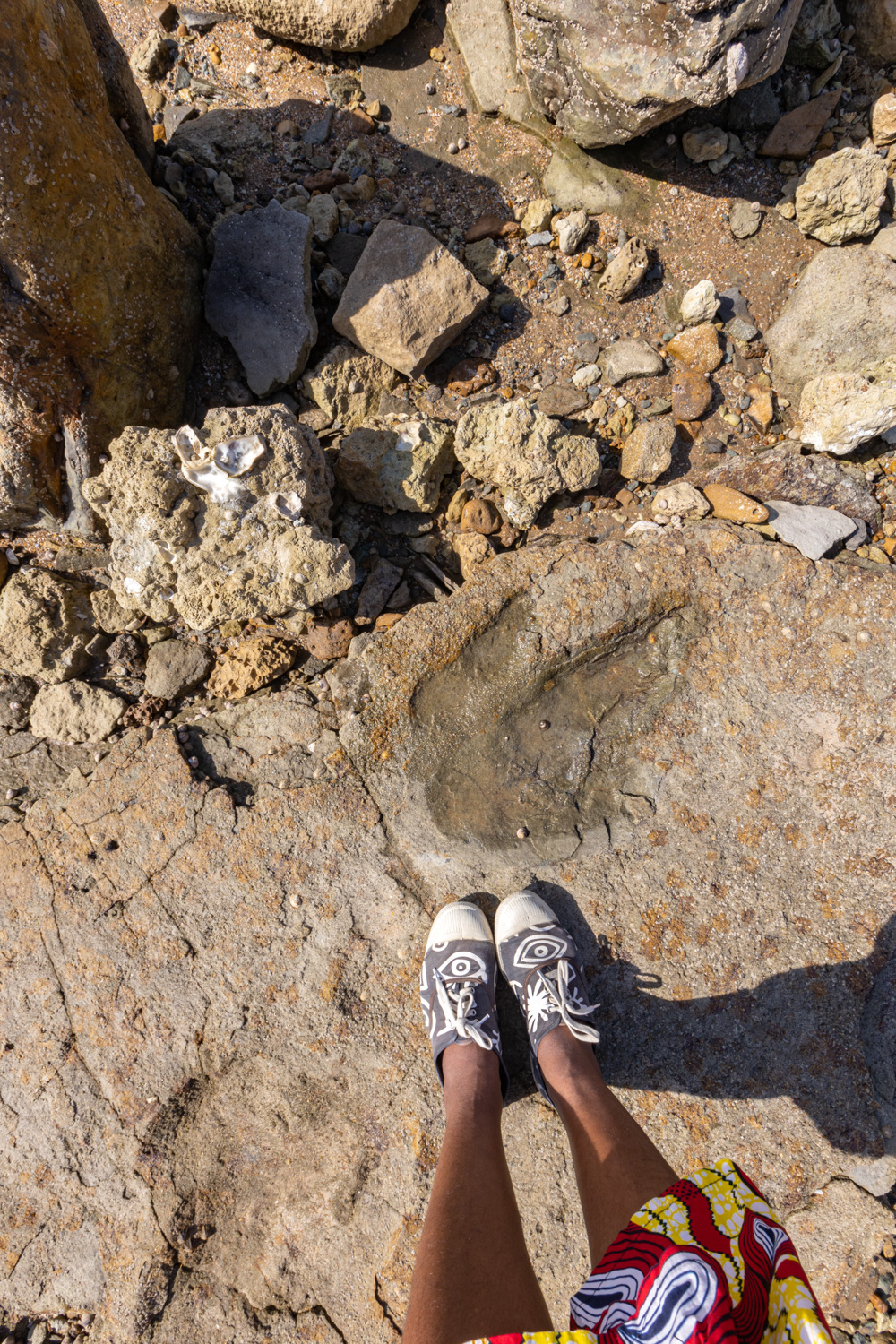 talmont saint hilaire dinosaure