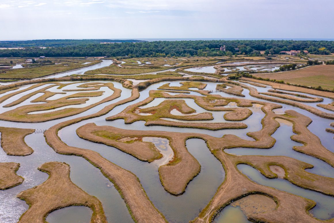 marais talmont saint hilaire