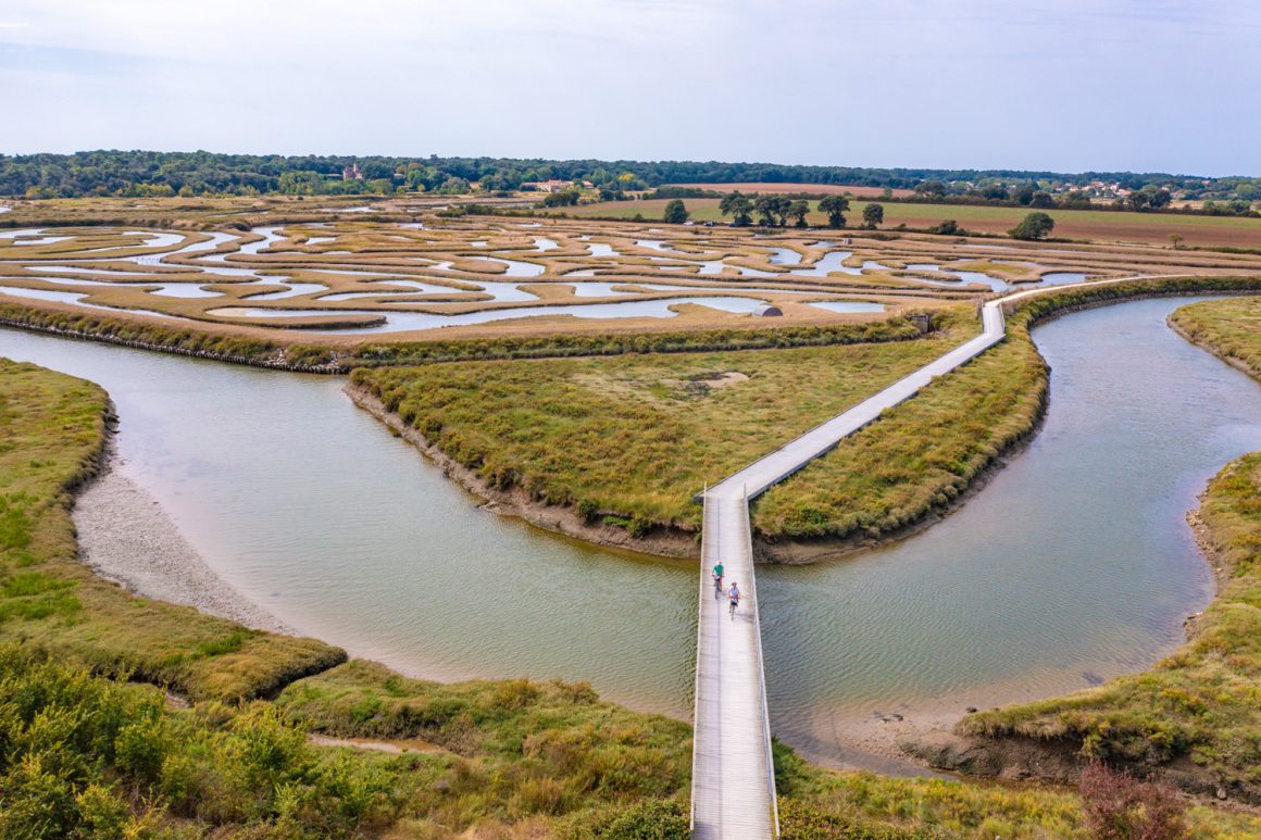 talmont saint hilaire marais