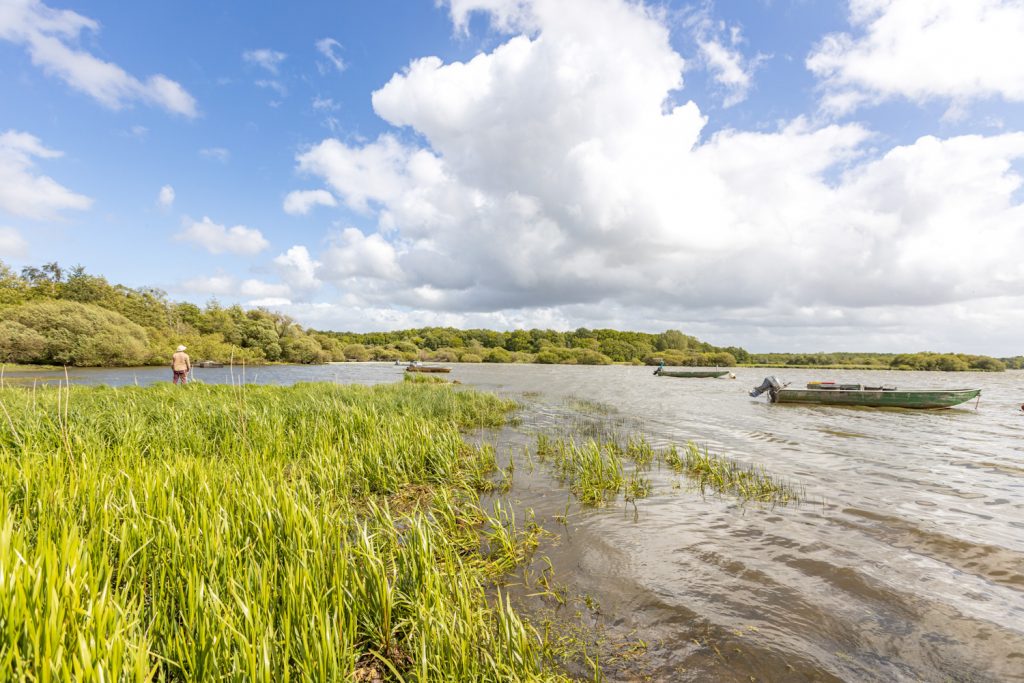lac de grand-lieu