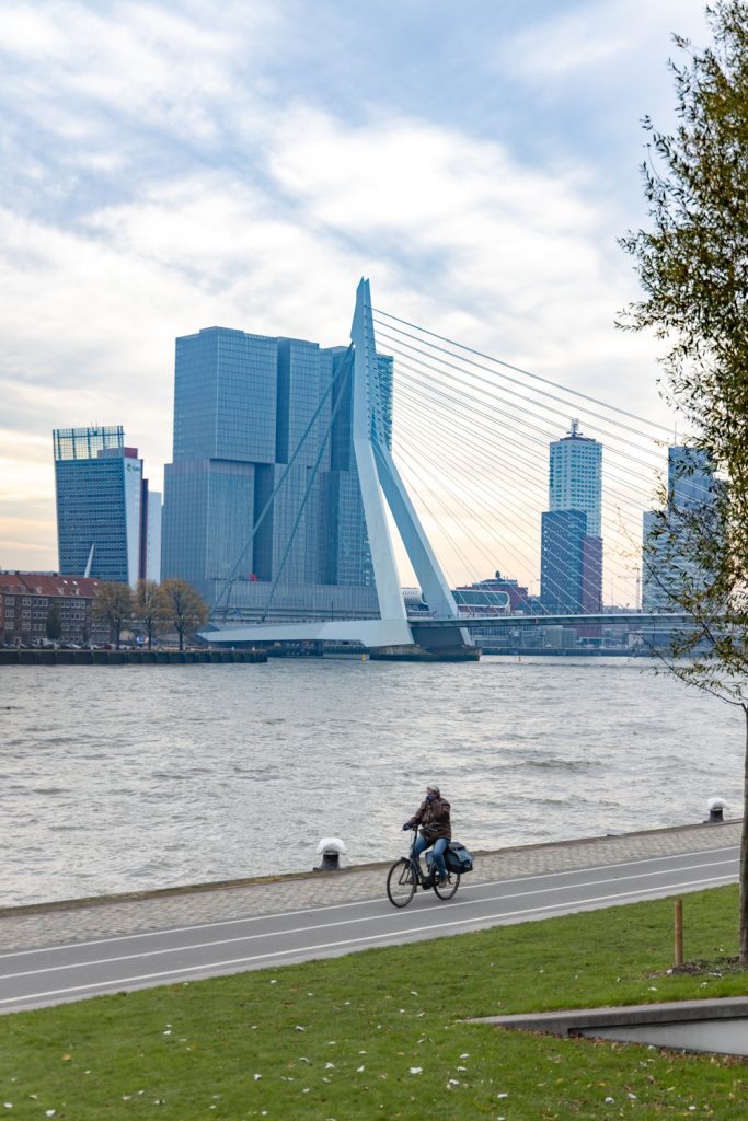 rotterdam