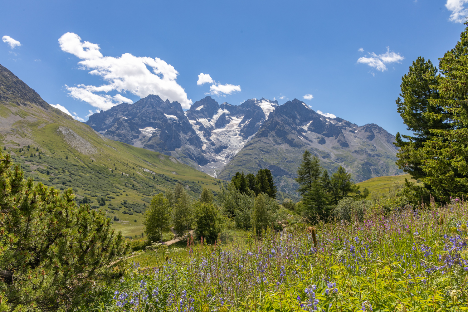 jardin du lautaret col