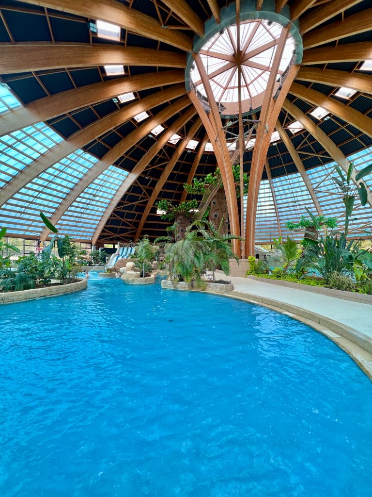 Domaine des Ormes piscine
