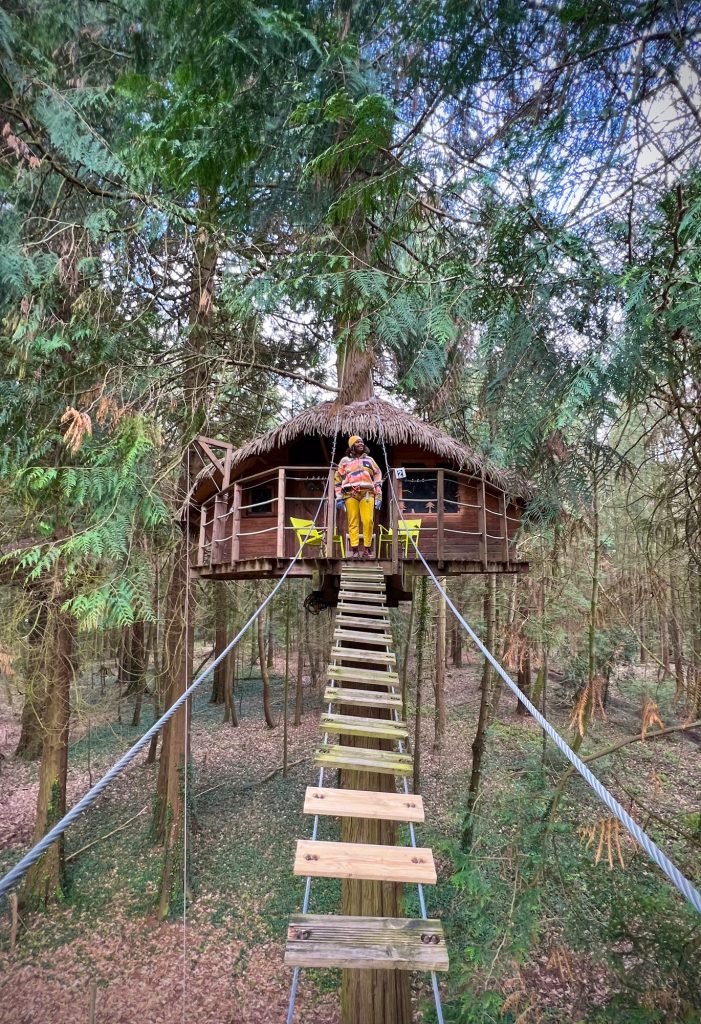 cabane dans les arbres