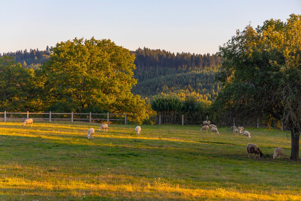 Visiter Creuse
