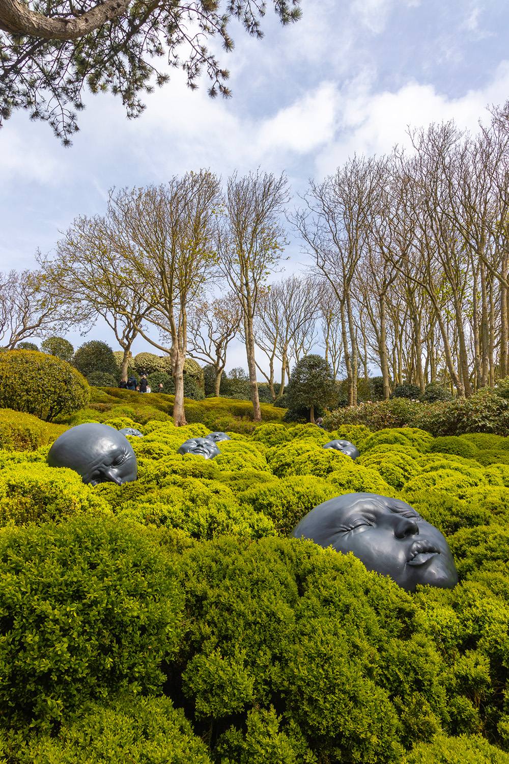 visiter les jardins d'étretat