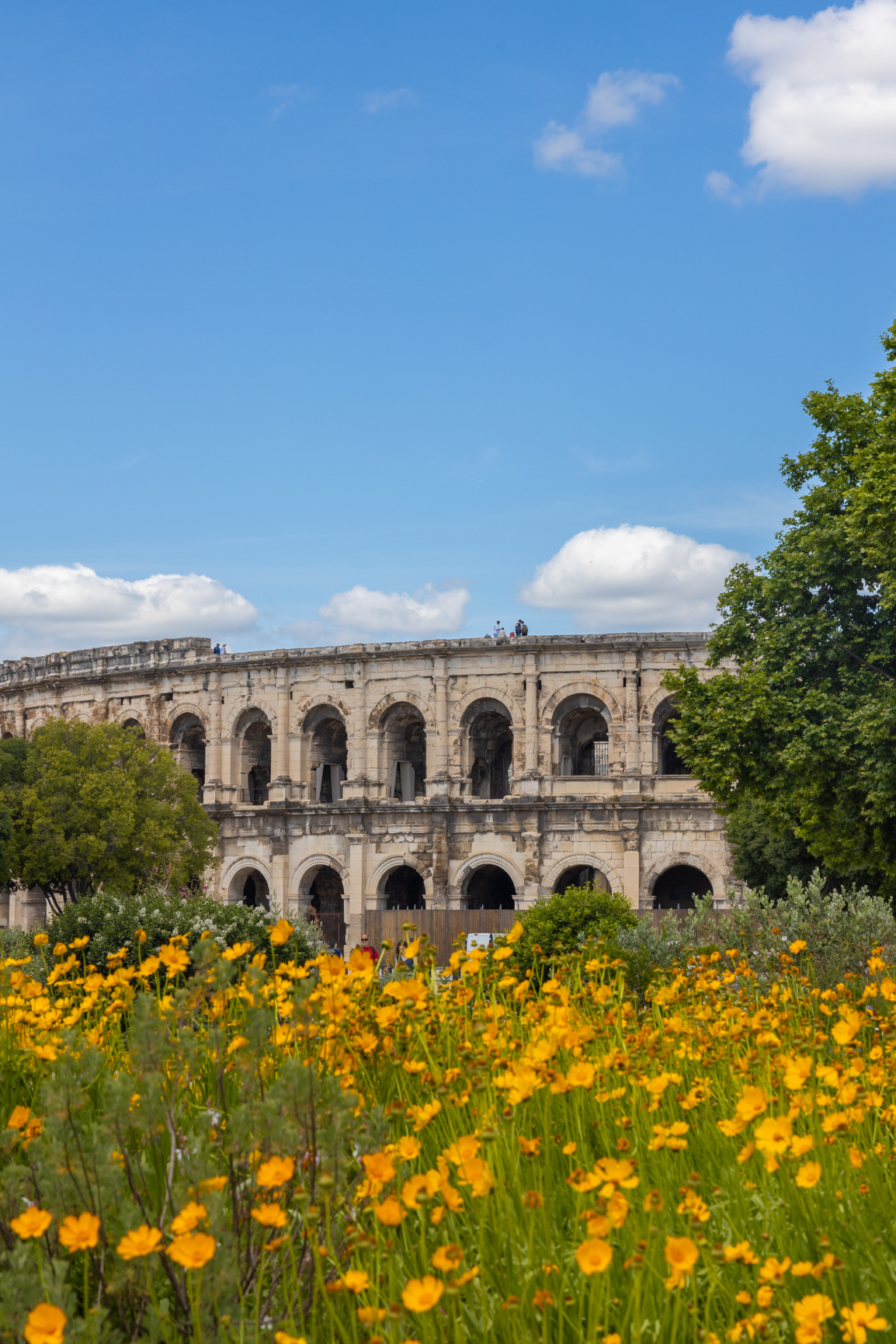 arènes de nimes
