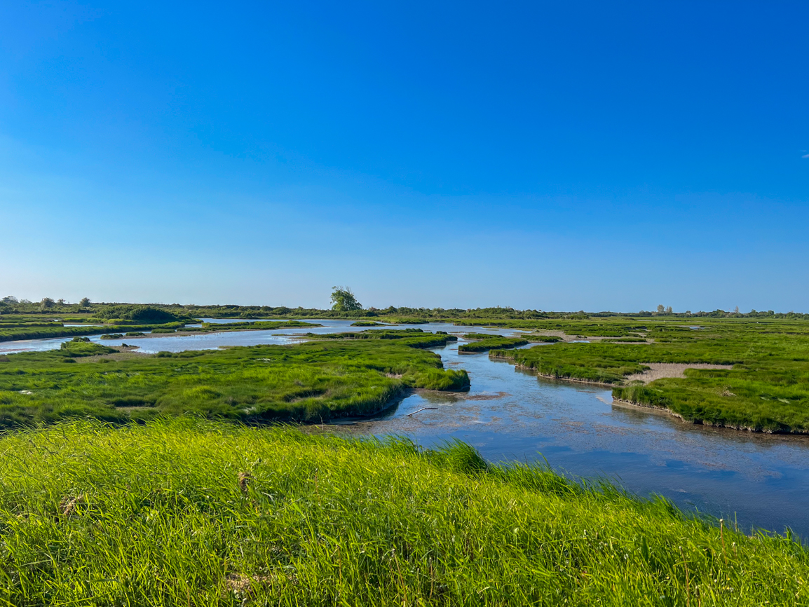 réserve ornithologique du Gros Banc