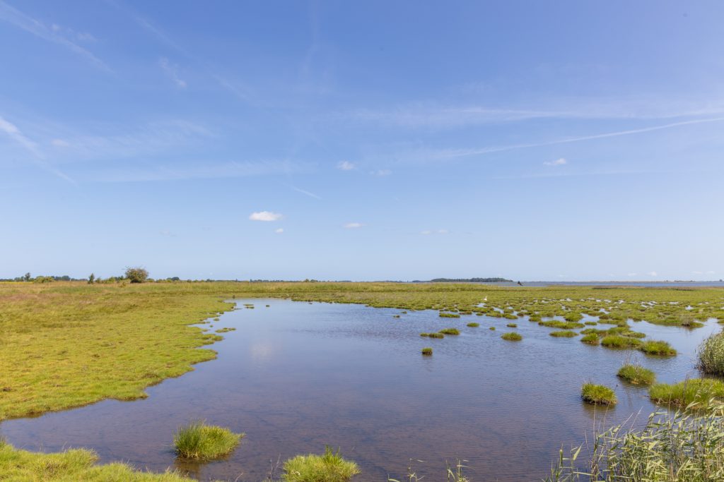 odense fjord