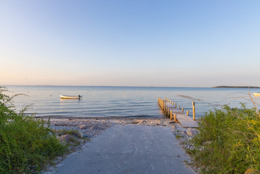 Bøgebjerg