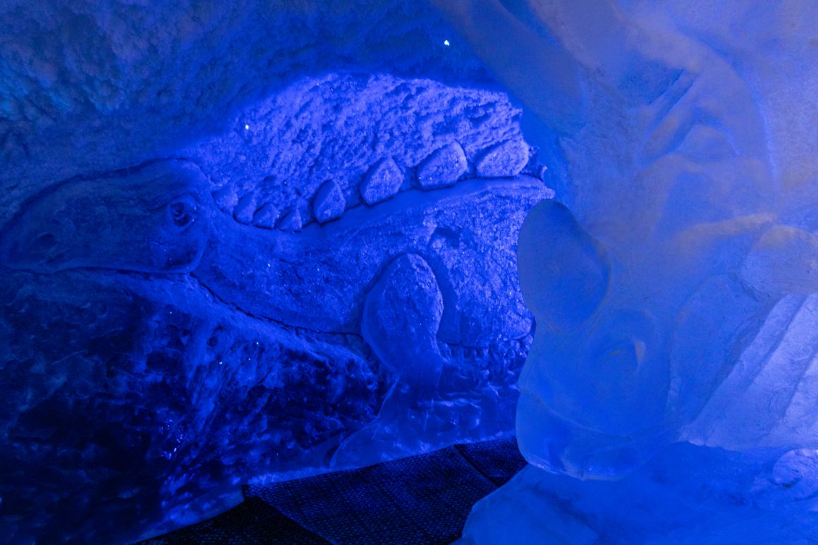 Grotte de glace 2 Alpes