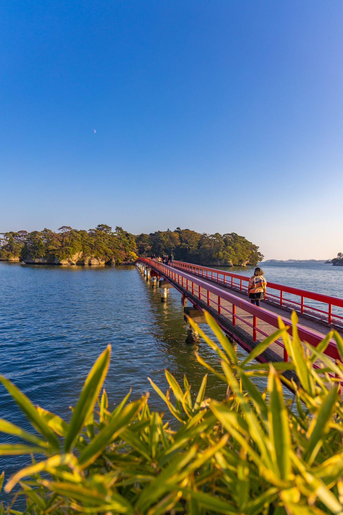 baie de Matsushima