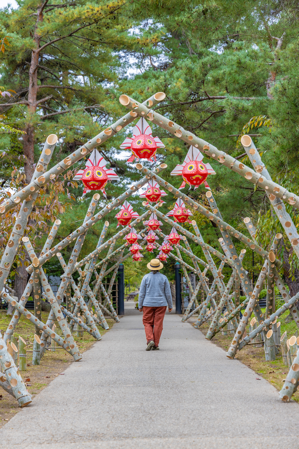 visiter château de Hirosaki
