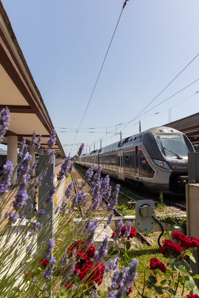 gare deauville